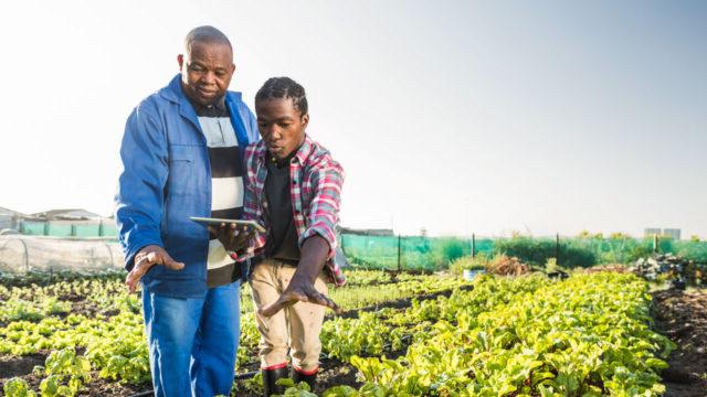Tetra Tech supports smallholder farmers to employ advanced analytical tools for improved agricultural planning and crop